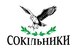 Flag of Sokil'nyky